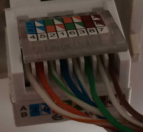 老式网线插座接法图片