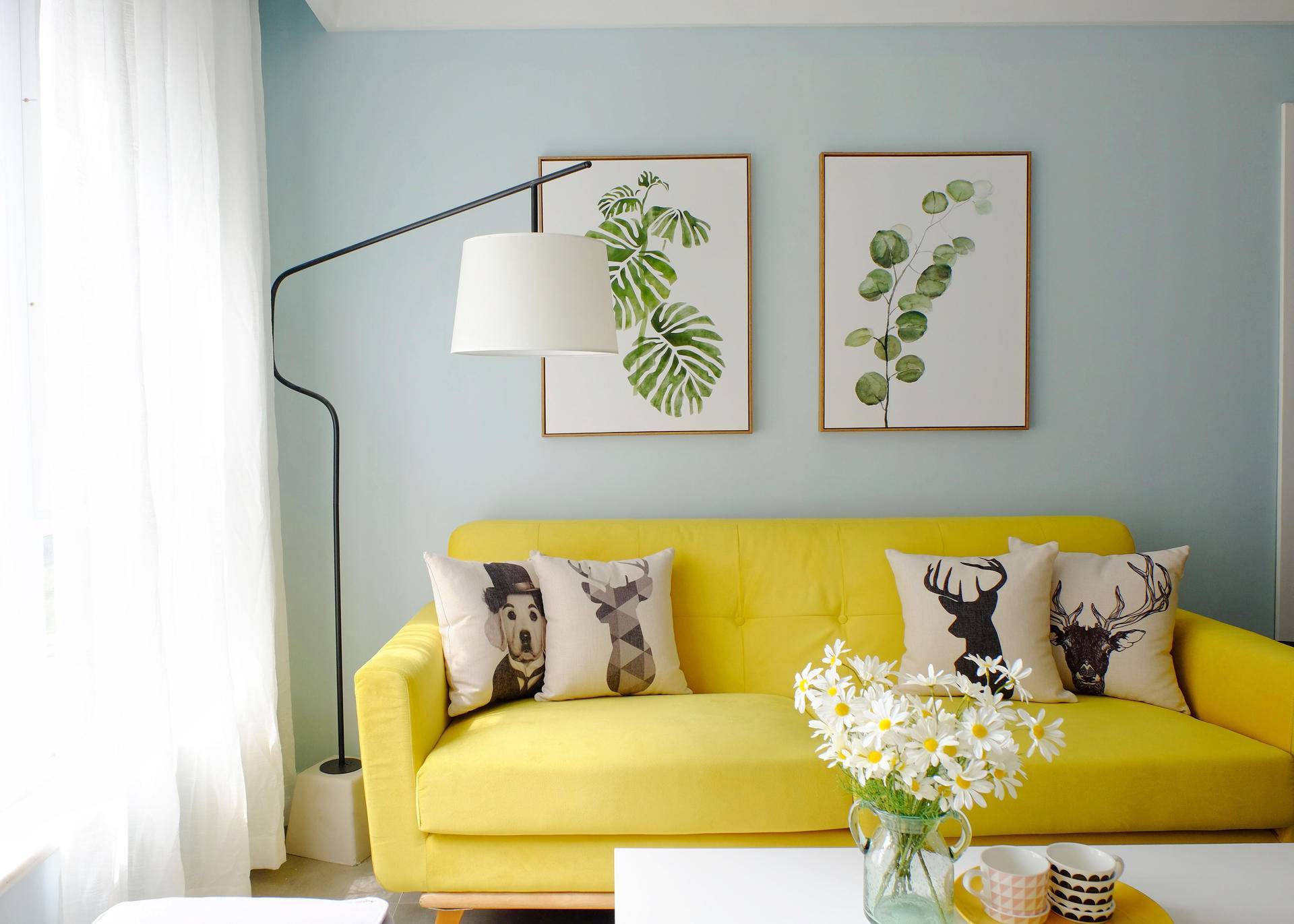 黄皮沙发配色效果图图片