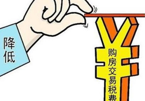 清晰的契税什么时候交的图片
