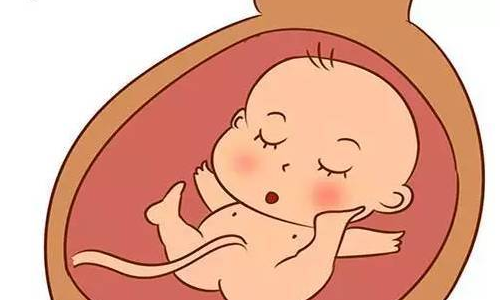 横位胎儿会不会畸形横位孕晚期注意事项