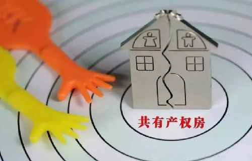 共有产权房能买吗(图3) 共有产权房能买吗(图3)