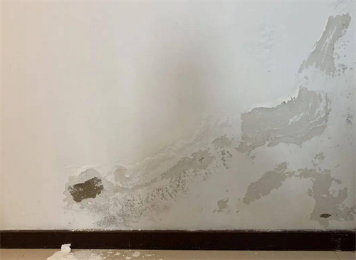 墙体返潮怎样处理?墙壁返潮处理方案-筱珑生活网